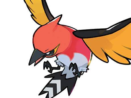 braisillon fletchinder hinoyakoma pokemon pkm jeu anime type vol feu 6g kalos braise