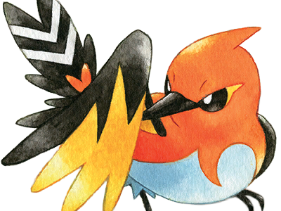 braisillon fletchinder hinoyakoma pokemon pkm jeu anime type vol feu 6g kalos braise