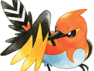 braisillon-fletchinder-hinoyakoma-pokemon-pkm-jeu-anime-type-vol-feu-6g-kalos-braise