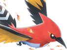 braisillon-fletchinder-hinoyakoma-pokemon-pkm-jeu-anime-type-vol-feu-6g-kalos-braise