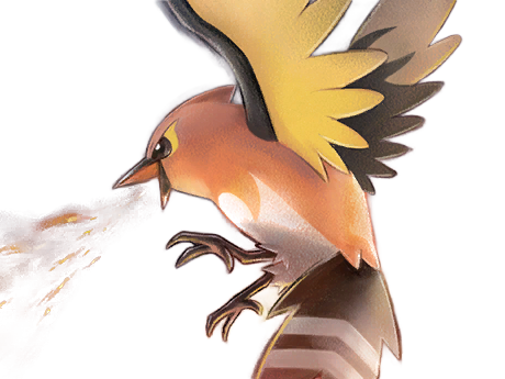 braisillon fletchinder hinoyakoma pokemon pkm jeu anime type vol feu 6g kalos braise