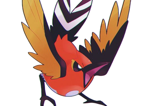 braisillon fletchinder hinoyakoma pokemon pkm jeu anime type vol feu 6g kalos braise