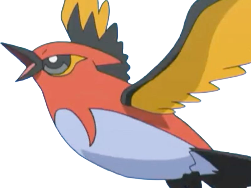 braisillon fletchinder hinoyakoma pokemon pkm jeu anime type vol feu 6g kalos braise