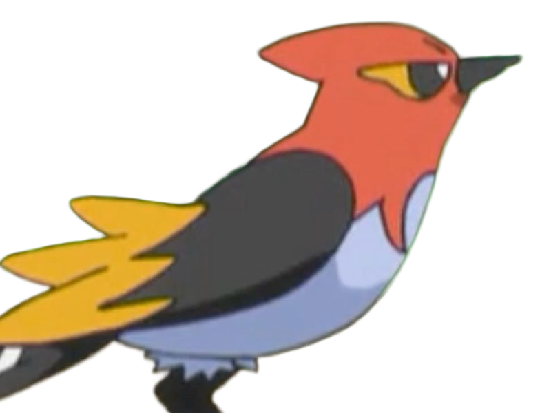 braisillon fletchinder hinoyakoma pokemon pkm jeu anime type vol feu 6g kalos braise