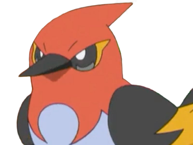 braisillon fletchinder hinoyakoma pokemon pkm jeu anime type vol feu 6g kalos braise