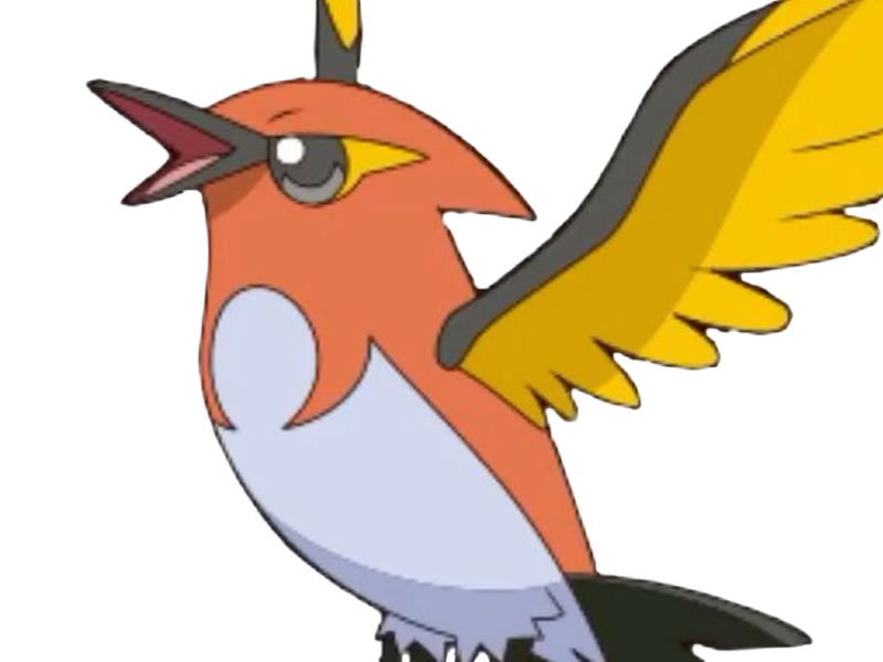 braisillon fletchinder hinoyakoma pokemon pkm jeu anime type vol feu 6g kalos braise