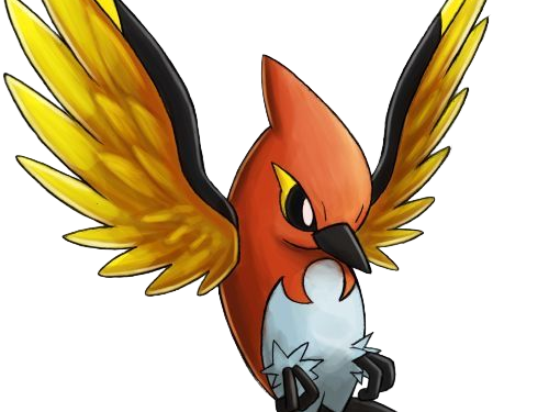 braisillon fletchinder hinoyakoma pokemon pkm jeu anime type vol feu 6g kalos braise