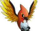 braisillon-fletchinder-hinoyakoma-pokemon-pkm-jeu-anime-type-vol-feu-6g-kalos-braise
