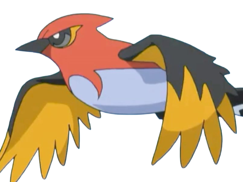 braisillon fletchinder hinoyakoma pokemon pkm jeu anime type vol feu 6g kalos braise