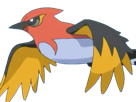 braisillon-fletchinder-hinoyakoma-pokemon-pkm-jeu-anime-type-vol-feu-6g-kalos-braise