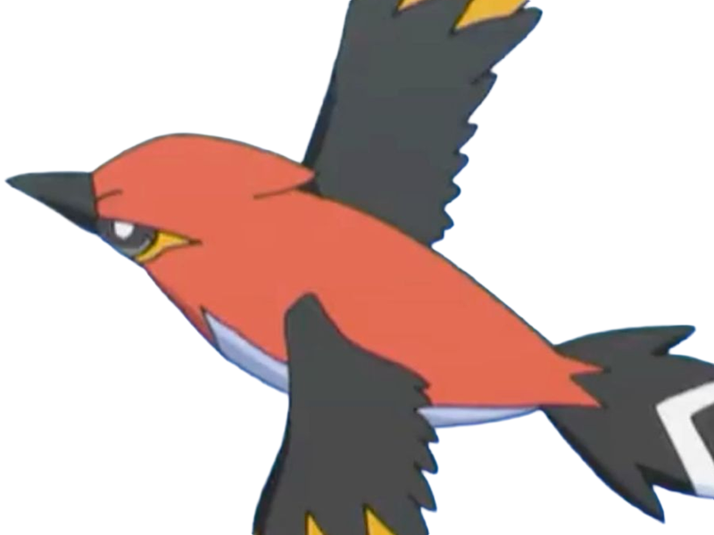 braisillon fletchinder hinoyakoma pokemon pkm jeu anime type vol feu 6g kalos braise