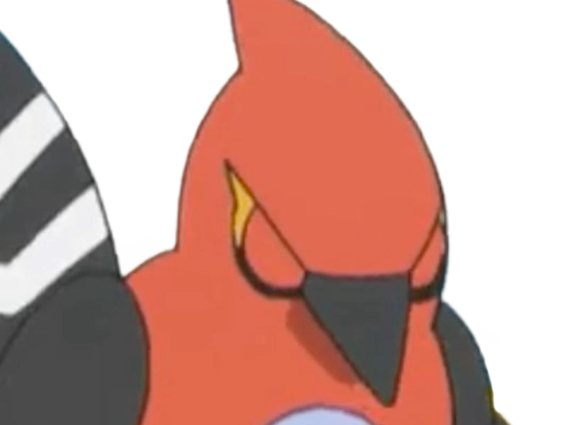 braisillon fletchinder hinoyakoma pokemon pkm jeu anime type vol feu 6g kalos braise