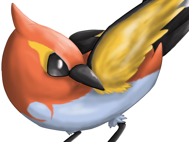 braisillon fletchinder hinoyakoma pokemon pkm jeu anime type vol feu 6g kalos braise