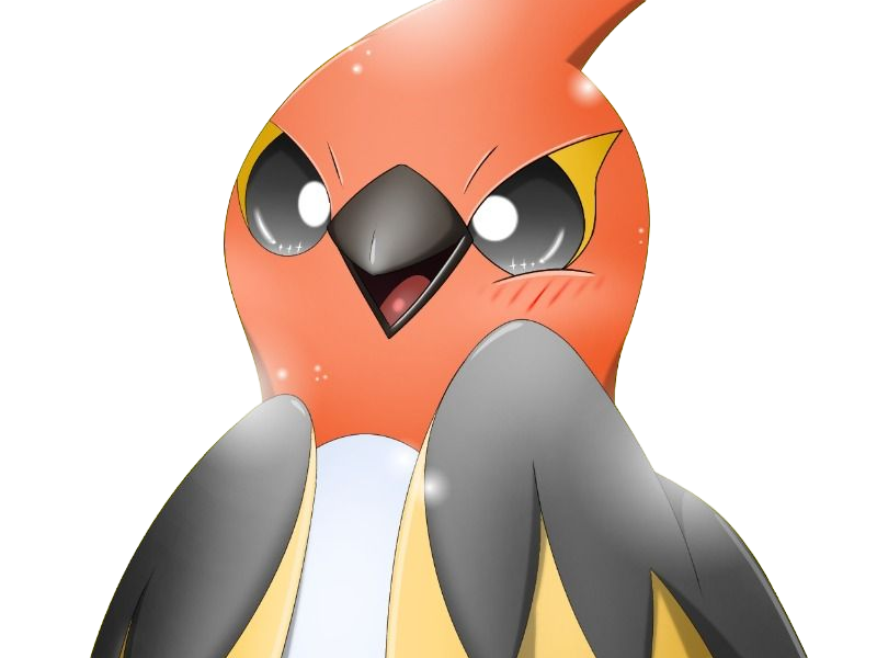 braisillon fletchinder hinoyakoma pokemon pkm jeu anime type vol feu 6g kalos braise