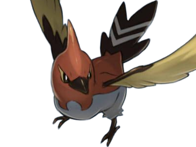 braisillon fletchinder hinoyakoma pokemon pkm jeu anime type vol feu 6g kalos braise