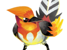 braisillon-fletchinder-hinoyakoma-pokemon-pkm-jeu-anime-type-vol-feu-6g-kalos-braise