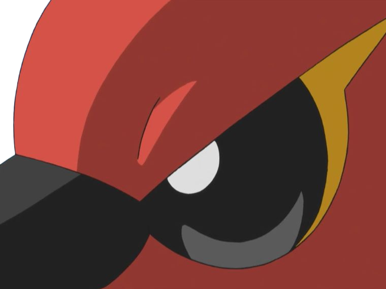 braisillon fletchinder hinoyakoma pokemon pkm jeu anime type vol feu 6g kalos braise