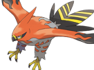 flambusard-talonflame-fiarrow-pokemon-pkm-jeu-anime-type-vol-feu-6g-kalos-fournaise