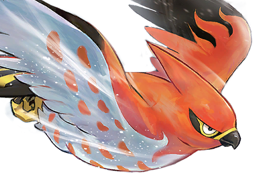 flambusard talonflame fiarrow pokemon pkm jeu anime type vol feu 6g kalos fournaise