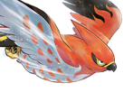 flambusard-talonflame-fiarrow-pokemon-pkm-jeu-anime-type-vol-feu-6g-kalos-fournaise