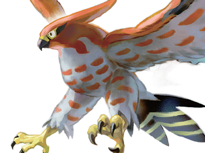 flambusard talonflame fiarrow pokemon pkm jeu anime type vol feu 6g kalos fournaise