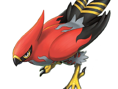 flambusard talonflame fiarrow pokemon pkm jeu anime type vol feu 6g kalos fournaise