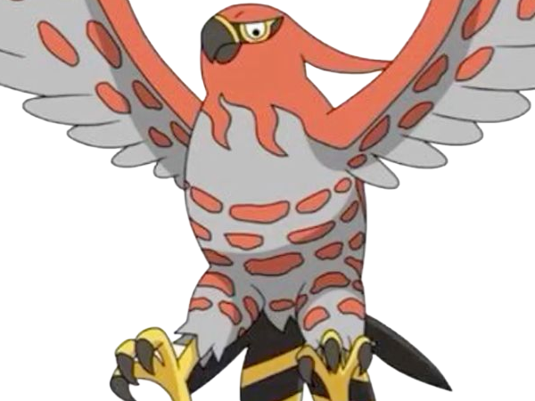 flambusard talonflame fiarrow pokemon pkm jeu anime type vol feu 6g kalos fournaise