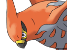 flambusard-talonflame-fiarrow-pokemon-pkm-jeu-anime-type-vol-feu-6g-kalos-fournaise