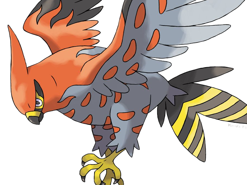 flambusard talonflame fiarrow pokemon pkm jeu anime type vol feu 6g kalos fournaise