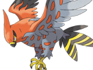 flambusard-talonflame-fiarrow-pokemon-pkm-jeu-anime-type-vol-feu-6g-kalos-fournaise
