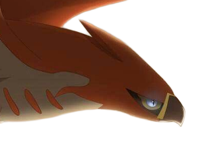 flambusard talonflame fiarrow pokemon pkm jeu anime type vol feu 6g kalos fournaise