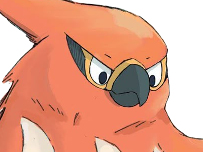 flambusard talonflame fiarrow pokemon pkm jeu anime type vol feu 6g kalos fournaise