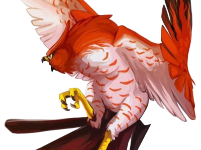 flambusard talonflame fiarrow pokemon pkm jeu anime type vol feu 6g kalos fournaise