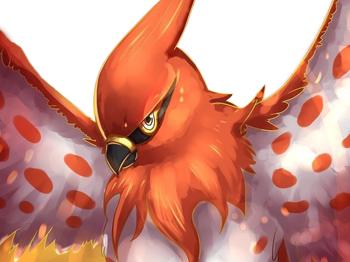 flambusard talonflame fiarrow pokemon pkm jeu anime type vol feu 6g kalos fournaise
