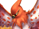 flambusard-talonflame-fiarrow-pokemon-pkm-jeu-anime-type-vol-feu-6g-kalos-fournaise