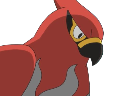 flambusard talonflame fiarrow pokemon pkm jeu anime type vol feu 6g kalos fournaise