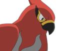 flambusard-talonflame-fiarrow-pokemon-pkm-jeu-anime-type-vol-feu-6g-kalos-fournaise