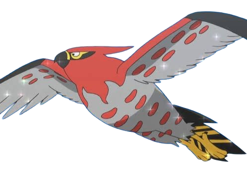 flambusard talonflame fiarrow pokemon pkm jeu anime type vol feu 6g kalos fournaise