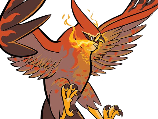 flambusard talonflame fiarrow pokemon pkm jeu anime type vol feu 6g kalos fournaise