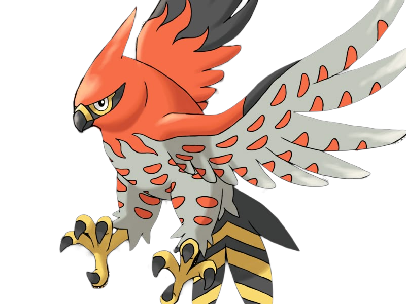 flambusard talonflame fiarrow pokemon pkm jeu anime type vol feu 6g kalos fournaise