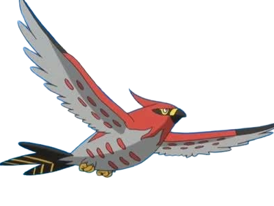 flambusard talonflame fiarrow pokemon pkm jeu anime type vol feu 6g kalos fournaise