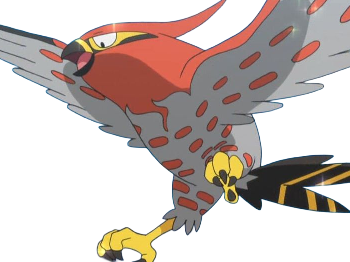 flambusard talonflame fiarrow pokemon pkm jeu anime type vol feu 6g kalos fournaise