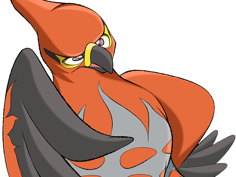 flambusard talonflame fiarrow pokemon pkm jeu anime type vol feu 6g kalos fournaise