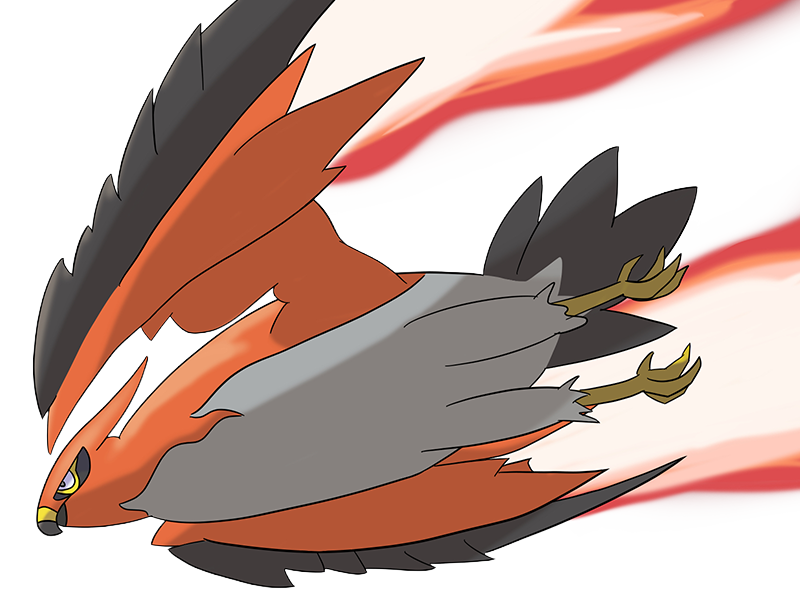 flambusard talonflame fiarrow pokemon pkm jeu anime type vol feu 6g kalos fournaise