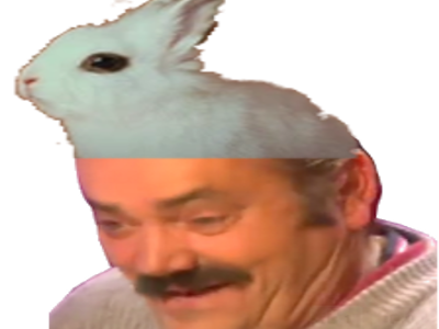 zinzin ahi fruit lapin