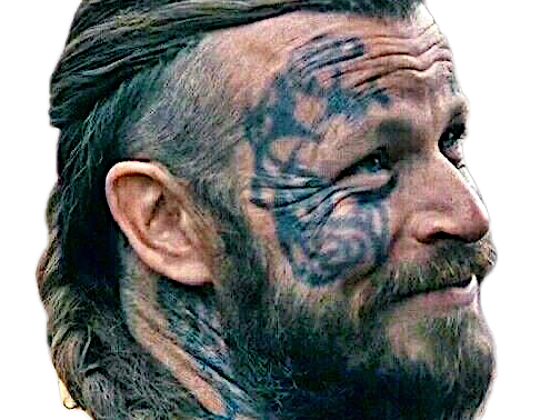 harald vikings serie roi tatouage finehair barbe