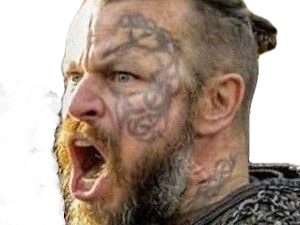 harald vikings serie roi tatouage finehair barbe