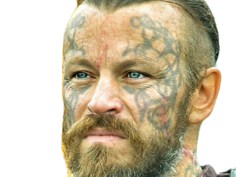 harald vikings serie roi tatouage finehair barbe