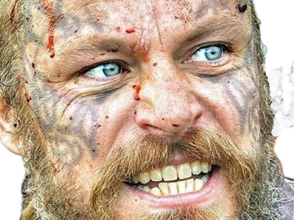 harald vikings serie roi tatouage finehair barbe