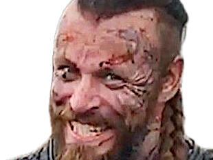 harald vikings serie roi tatouage finehair barbe